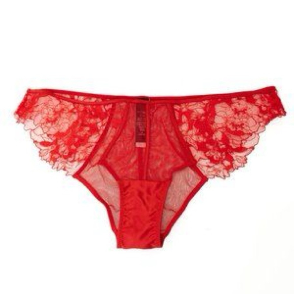 Victoria’s Secret Very Sexy Mesh Embroidered Panty